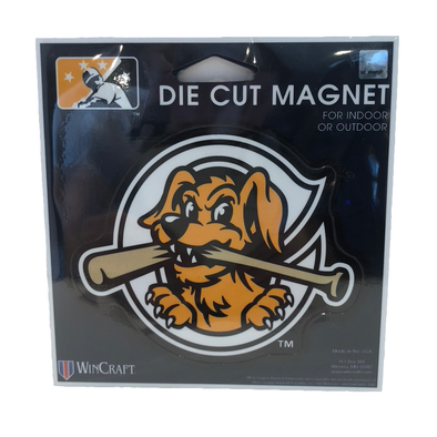 Charleston RiverDogs Magnet