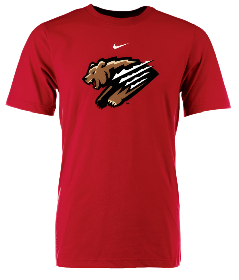Youth Red  Nike Primary Logo Tee