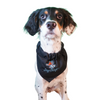 Beloit Sky Carp Black Home Dog Bandana