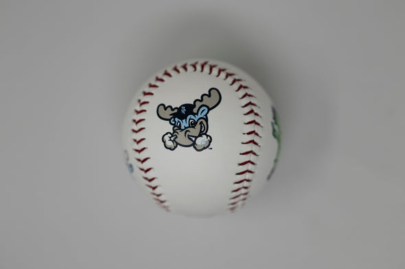 Wilmington Blue Rocks 4 Logos Baseball