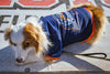 Midland RockHounds All Star Dogs Dog Jersey