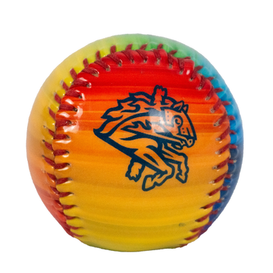 BRP Rainbow Collectible Baseball