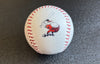 Rawlings 1969 Charlotte Hornets Baseball