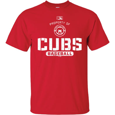 South Bend Cubs Men's Property Tee