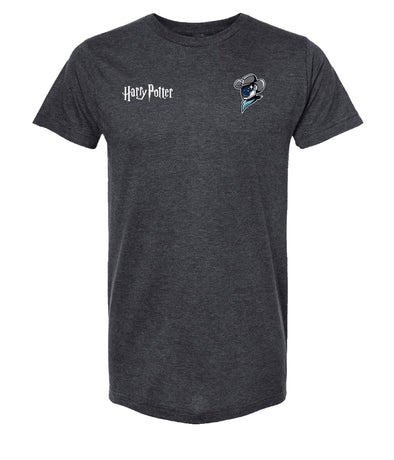Sugar Land Space Cowboys OT Sports Tee Harry Potter Front and Back
