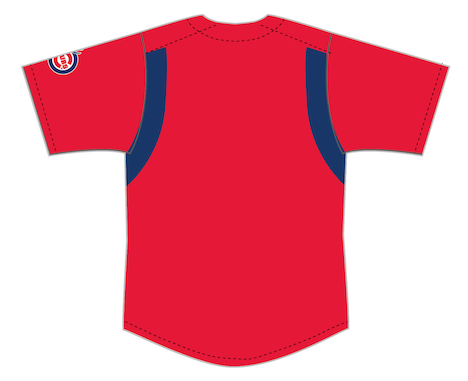 Men's Iowa Cubs Alternate Replica Red Jersey