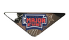 Iowa Cubs Major Fun Lapel Pin
