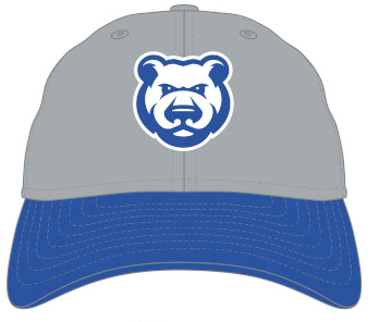 Youth Iowa Cubs Team Cap, Gray