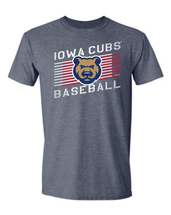 Men's Iowa Cubs Dang Tee, Heather Navy