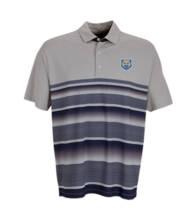 Men's Iowa Cubs Variegated Stripe Polo, Gray/Navy