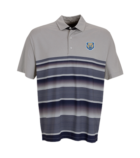 Men's Iowa Cubs Variegated Stripe Home Polo, Gray/Navy