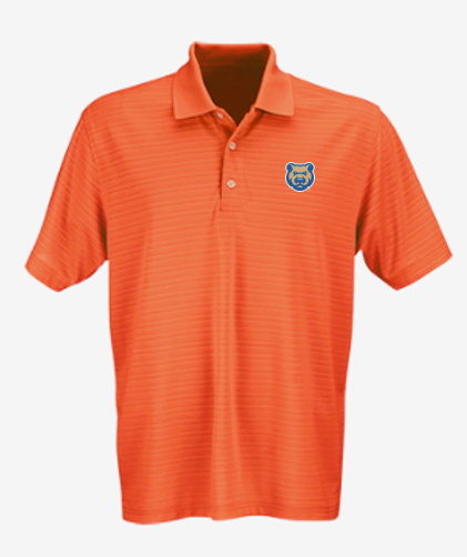 Men's Iowa Cubs Textured Striped Polo, Orange