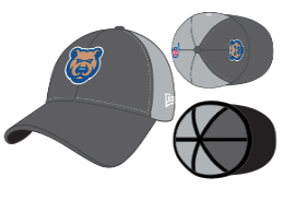 Men's Iowa Cubs 3930 Flex Fit Cap-Gry