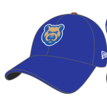 Men's Iowa Cubs 3930 Home Cap-RyB M-L