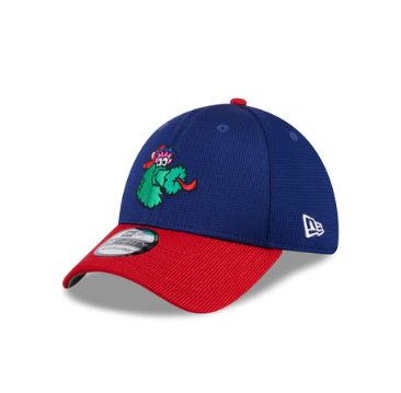 New Era Philadelphia Phillies BP Blue Phanatic Stretch-Snap Hat