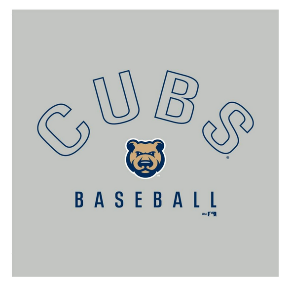 Women's Iowa Cubs Under Armour Hooded Long Sleeved Tee