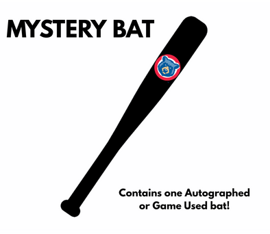 Mystery Bat