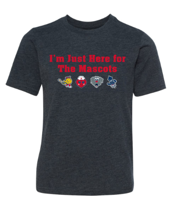 Worcester Red Sox Navy Toddler Here for the Mascots