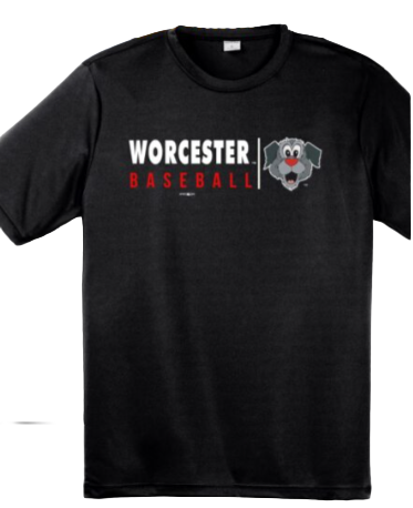 Worcester Red Sox Black Woofster Sideline Tee