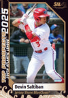 Jersey Shore BlueClaws 2025 SAL 25 Top Prospect Card Set