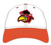 Delmarva Shorebirds New Era Sherman TNC 9Twenty Adjustable Cap