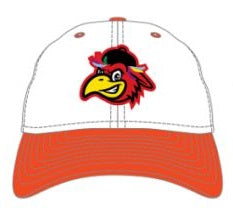 Delmarva Shorebirds New Era Sherman TNC 9Twenty Adjustable Cap