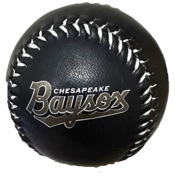 Chesapeake Baysox Rawlings Primary Logo BLACK Baseball