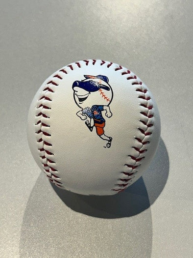 St. Lucie Mets Logo Baseball
