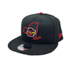Rochester Red Wings New York Snap