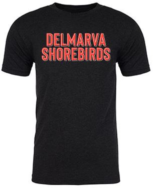 Delmarva Shorebirds 108 Stitches Statement Tee