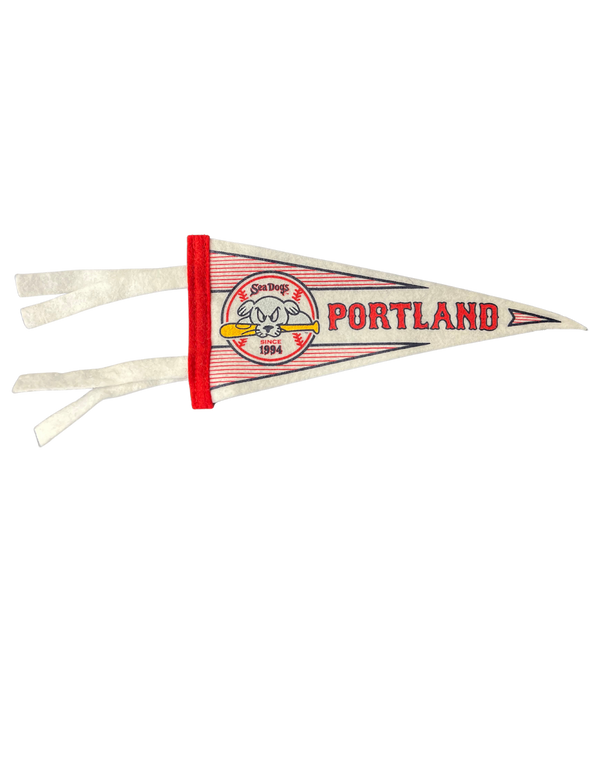 Sea Dogs Oxford Mini Pennant 4" x 9"