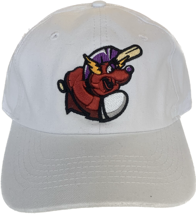 Winston-Salem Dash Bolt Cap