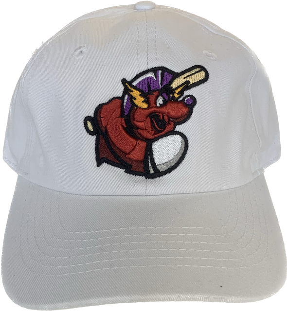 Winston-Salem Dash Bolt Cap