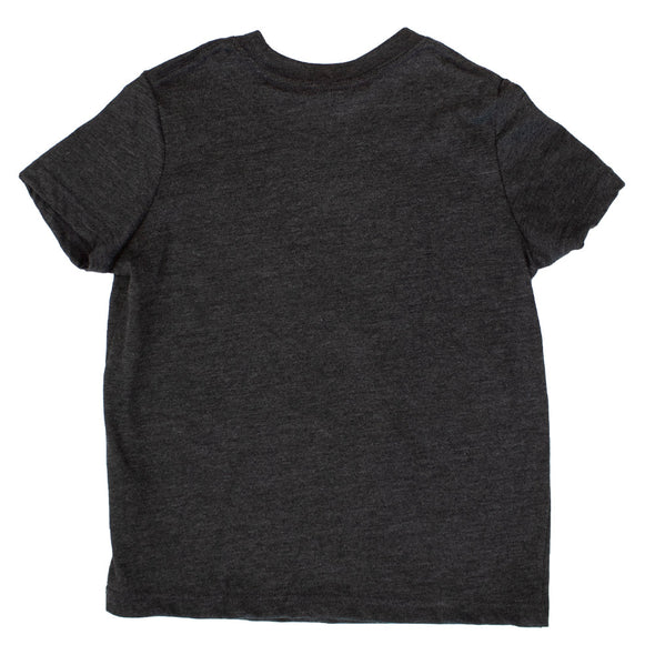 Toddler Vintage Smoke Trash Pandas T-shirt