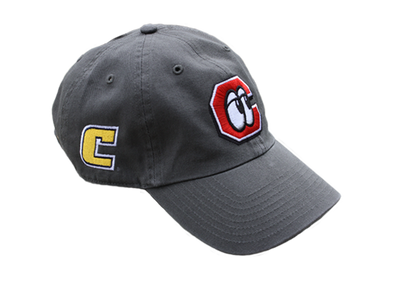 Chattanooga Lookouts UTC Clean Up