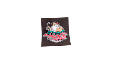 Tri-City ValleyCats Square Sticker