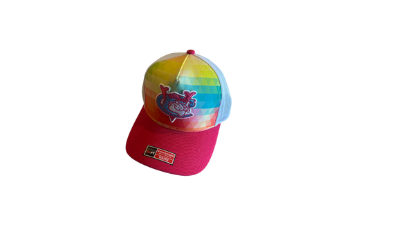 Youth Segmented ValleyCats Cap