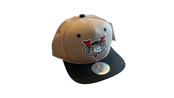 Dynasty Tan and Black Snapback Cap