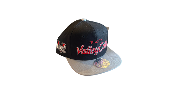 Dynasty Black and Grey Snapback Hat