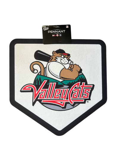 ValleyCats Pennants