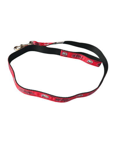 ValleyCats Dog Leash