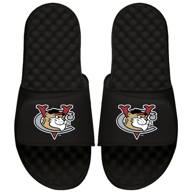 Tri-City ValleyCats Slides