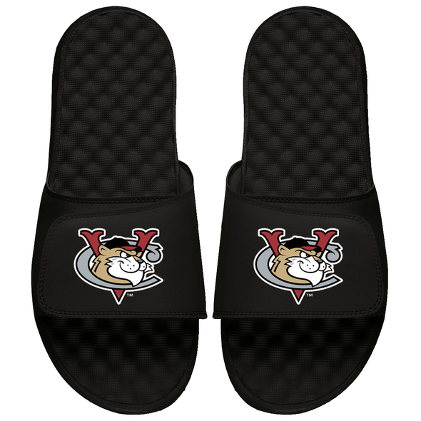 Tri-City ValleyCats Slides