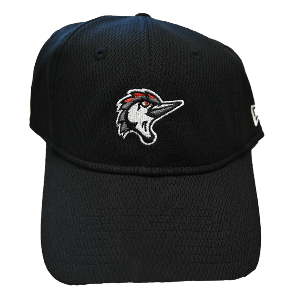 Fayetteville Woodpeckers Women's Dash Cap