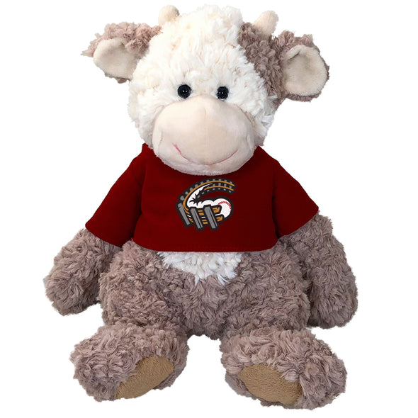 Altoona Curve Cuddle Buddies with T-shirts
