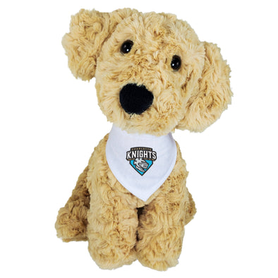 Charlotte Knights Mascot Factory Golden Retriever