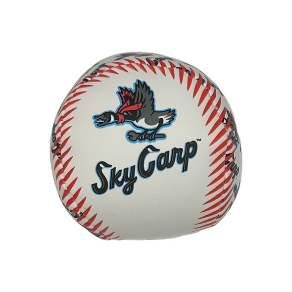 Beloit Sky Carp Baseballs