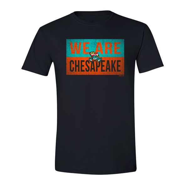 Chesapeake Baysox ADULT We Are Chesapeake BLACK