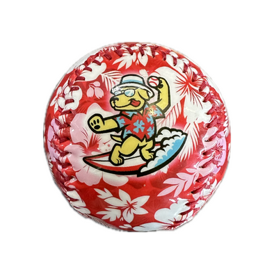 Clearwater BeachDogs Tropical Logo Baseball