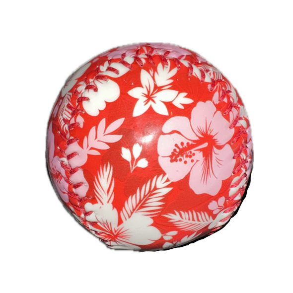 Clearwater BeachDogs Tropical Logo Baseball